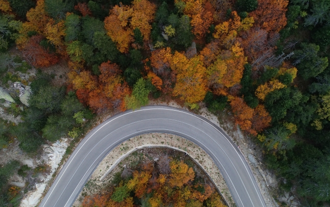 Sonbahar Uludağ'ı rengarenk ağaçlarla süsledi